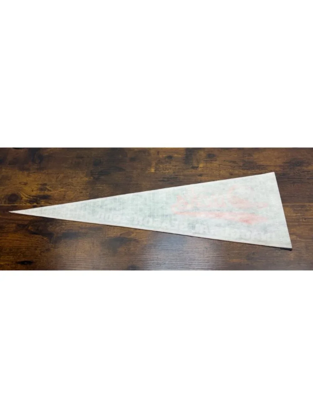Long Island Ducks Inaugural Season 2000 Vintage Felt Pennant 26.5 inches